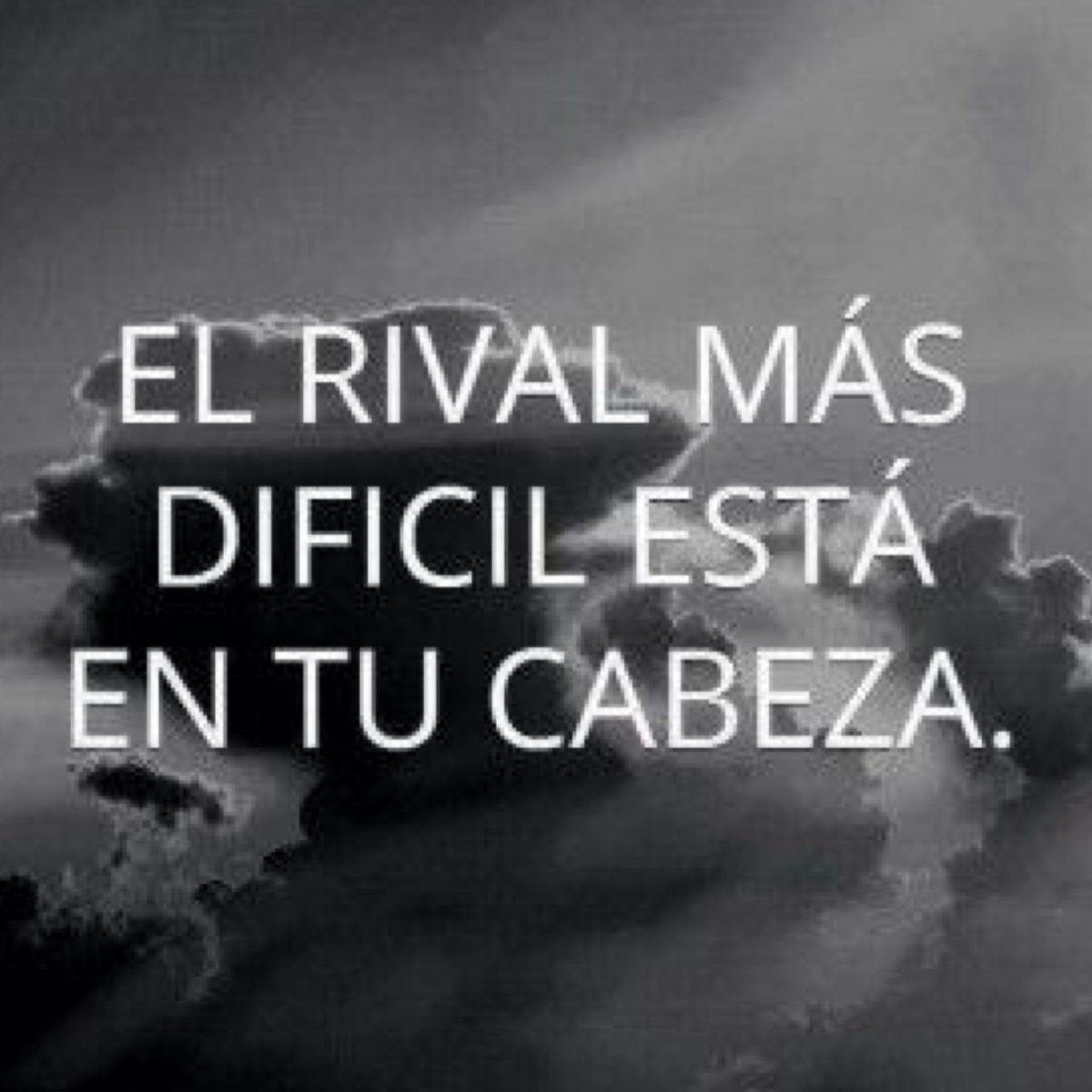 🏛 Filosofía Estoica 🏛 (@filosofiastoica) on Twitter photo 