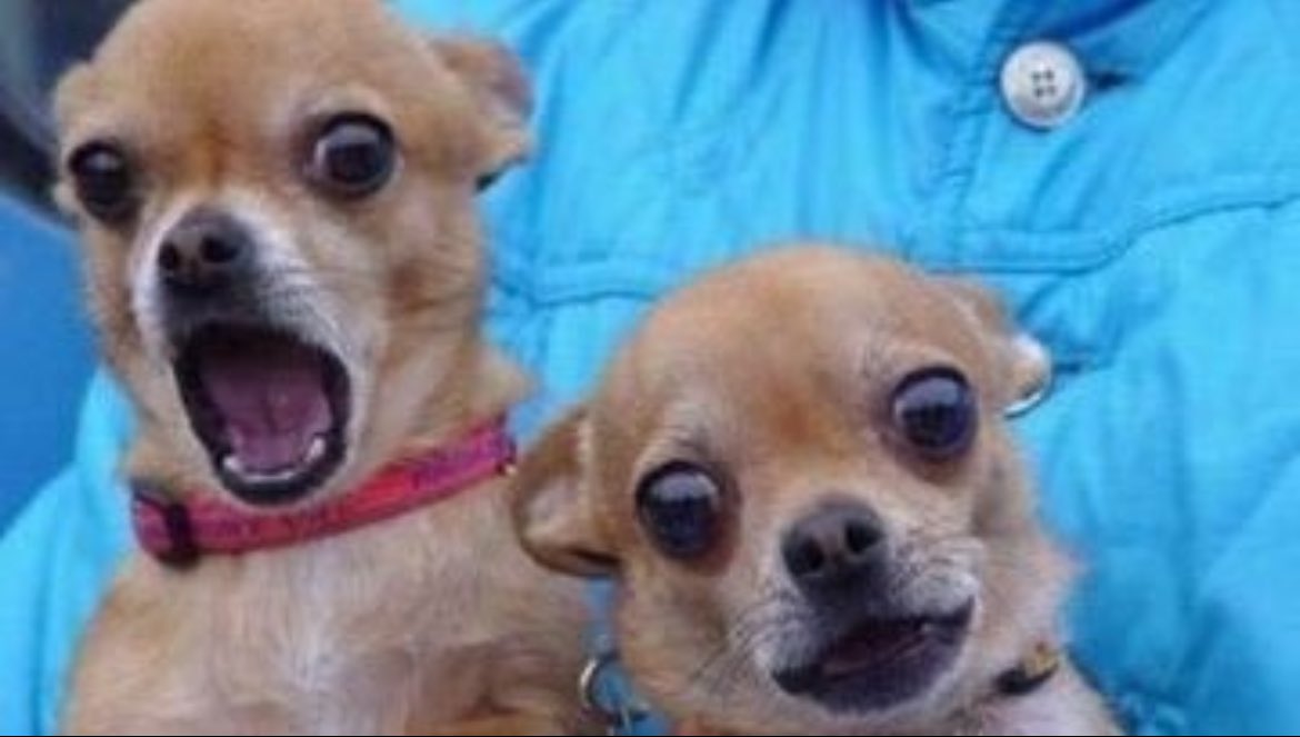 Hoska Thee Pharmacist.💊 tweet media