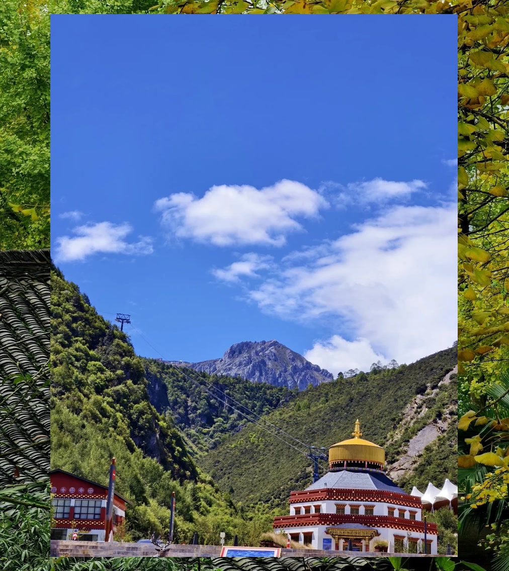 Gary Thompson tweet media