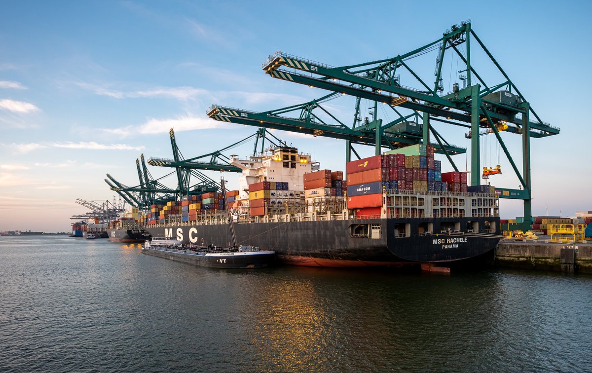 WorldCargoNews's tweet image. ⛔ A week after an #oilspill disrupted operations, the Port of Antwerp-Bruges said its key container facilities have resumed normal activity, with cleanup efforts continuing in limited areas.

#WorldCargoNews #containershipping #maritime 

tinyurl.com/yc8bcz2h