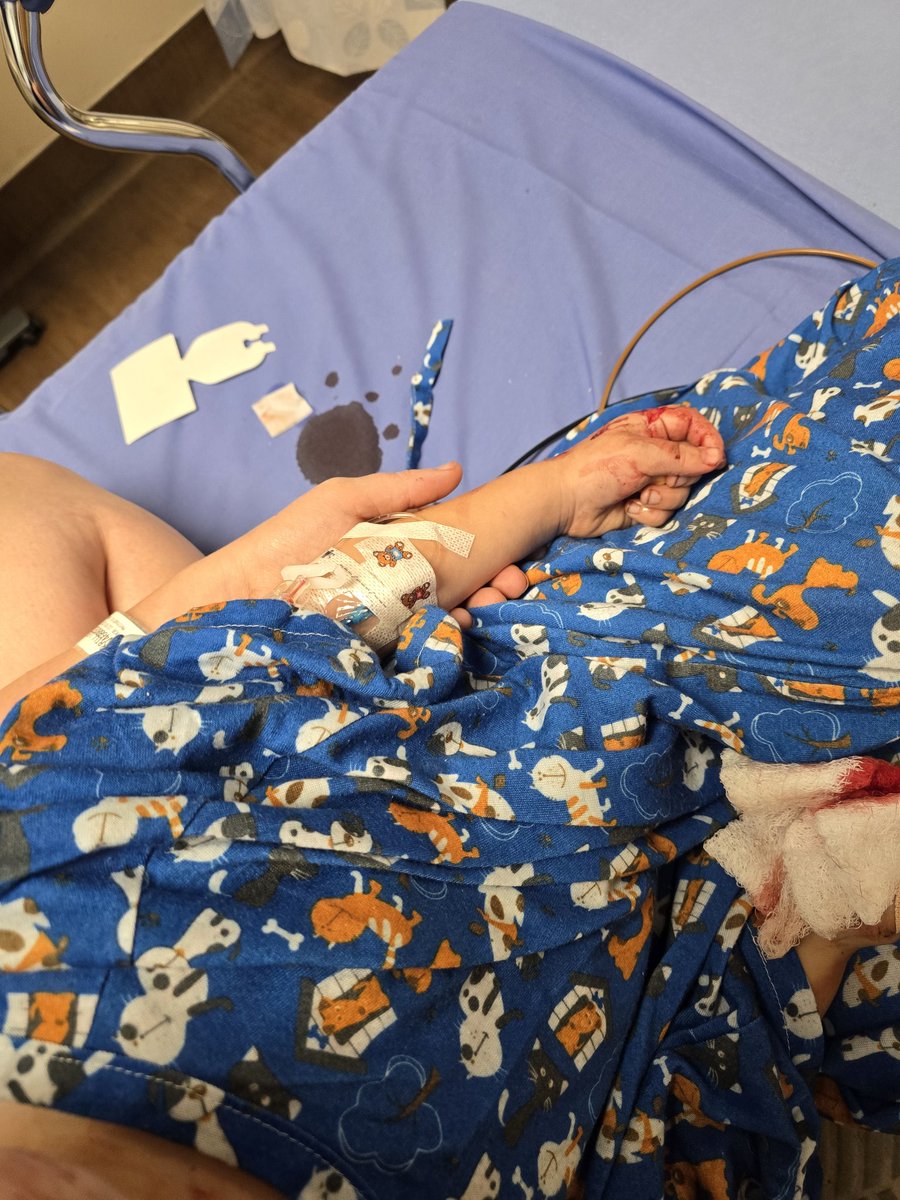 ✝️ 🇻🇦 Mom of Krills 🇻🇦 ✝️ tweet media