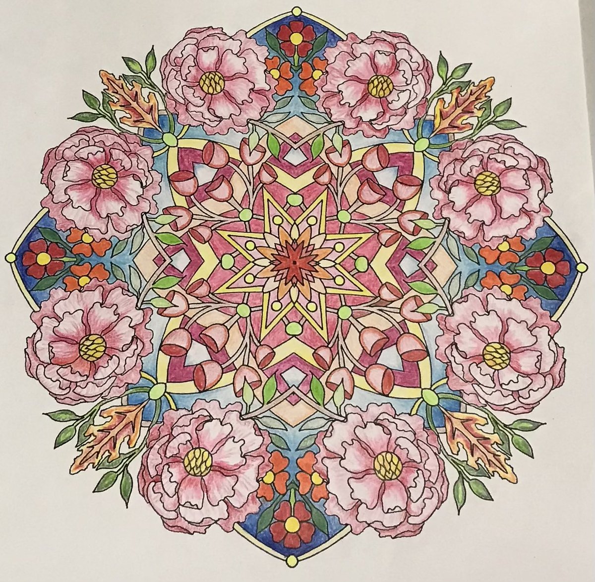 終末牛乳 tweet media