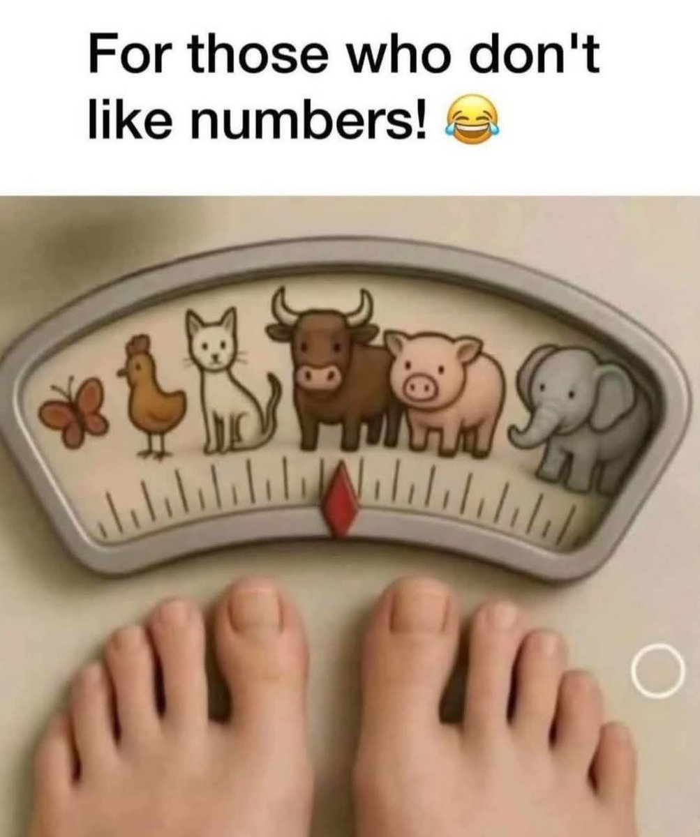 🍀Louie Kerr 🇮🇪💚 tweet media