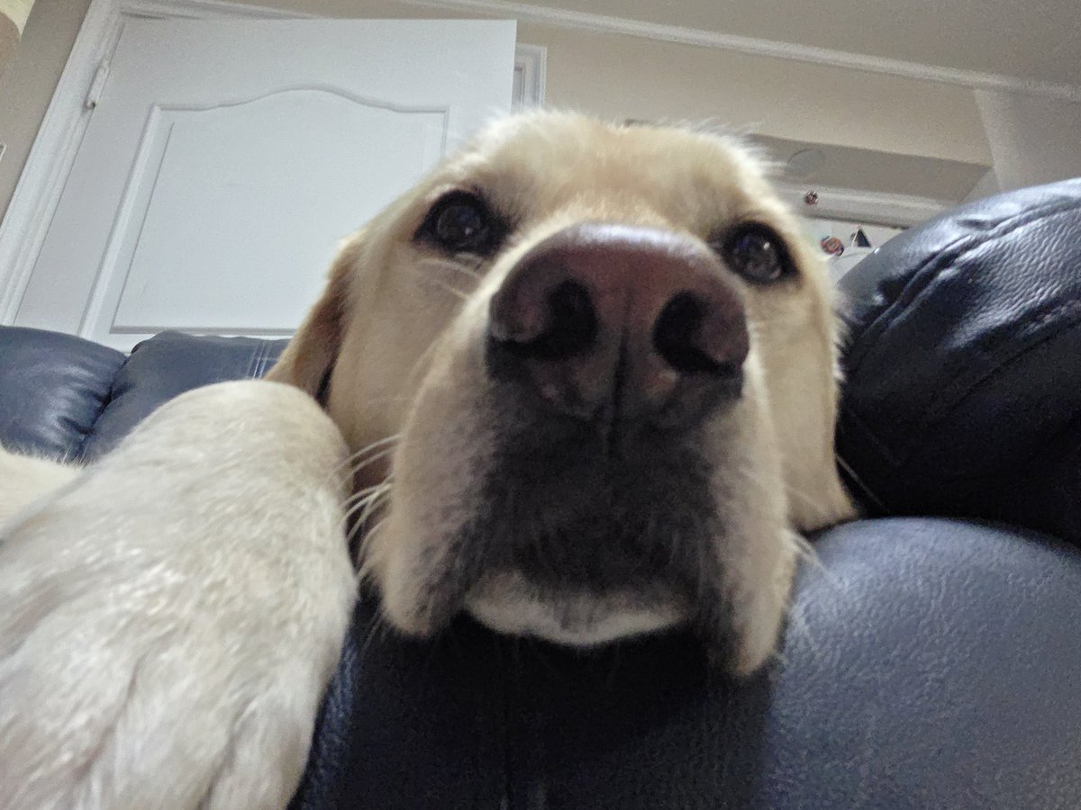 티니♡ tweet media