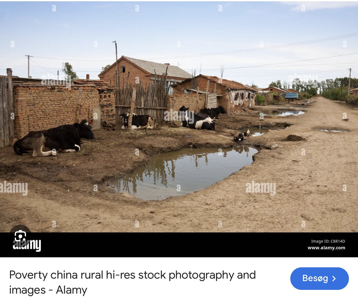 OldSchoolDane tweet media