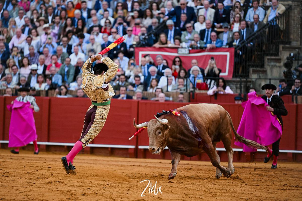 manuel.pg4 tweet media