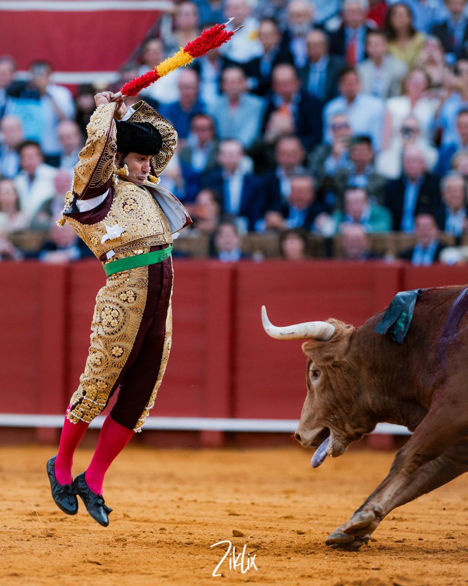 manuel.pg4 tweet media