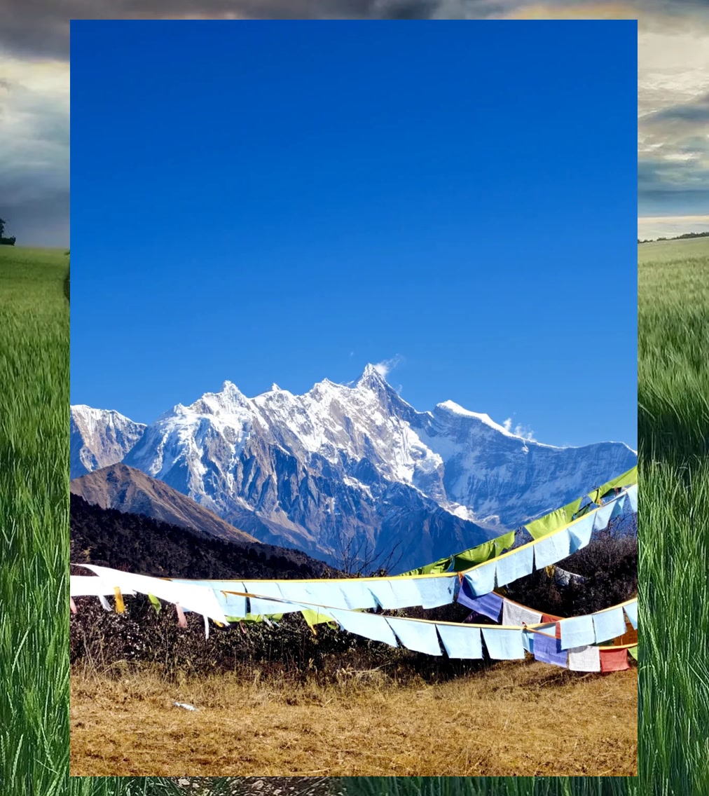 Amber Mitchell tweet media