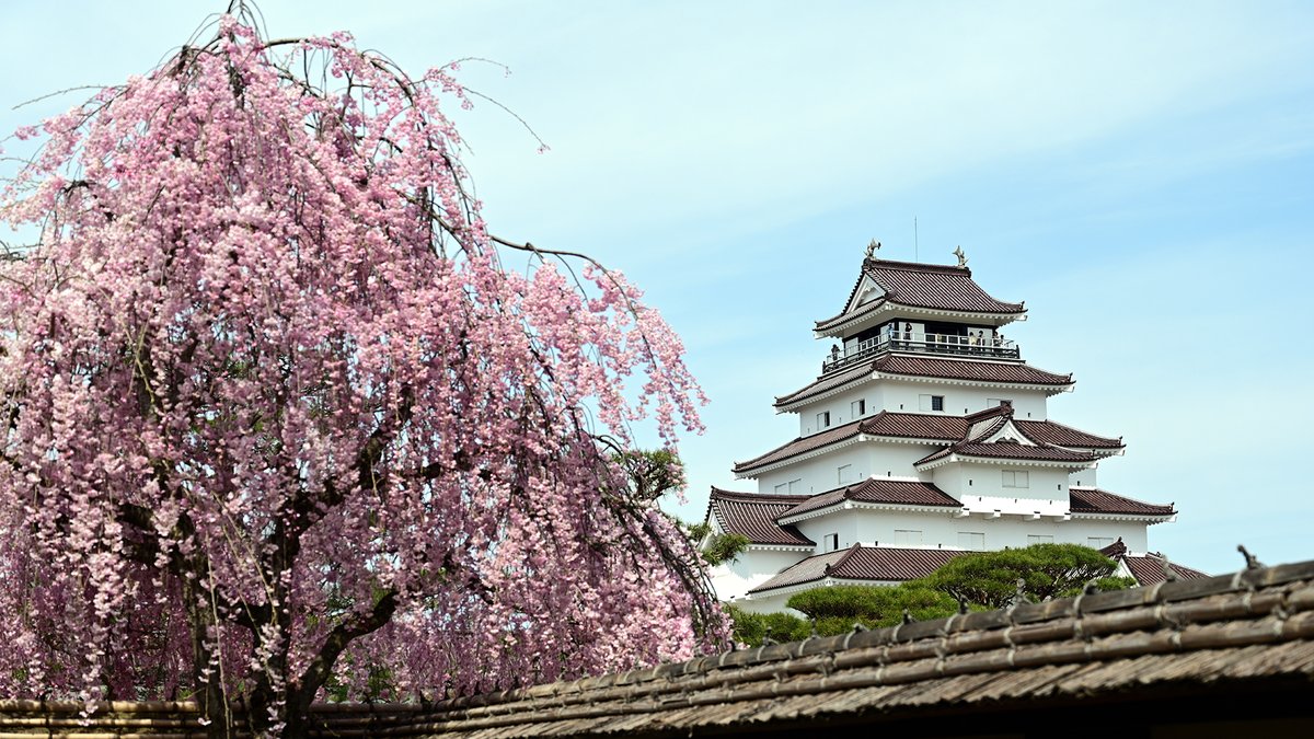 週末ウォーキング tweet media