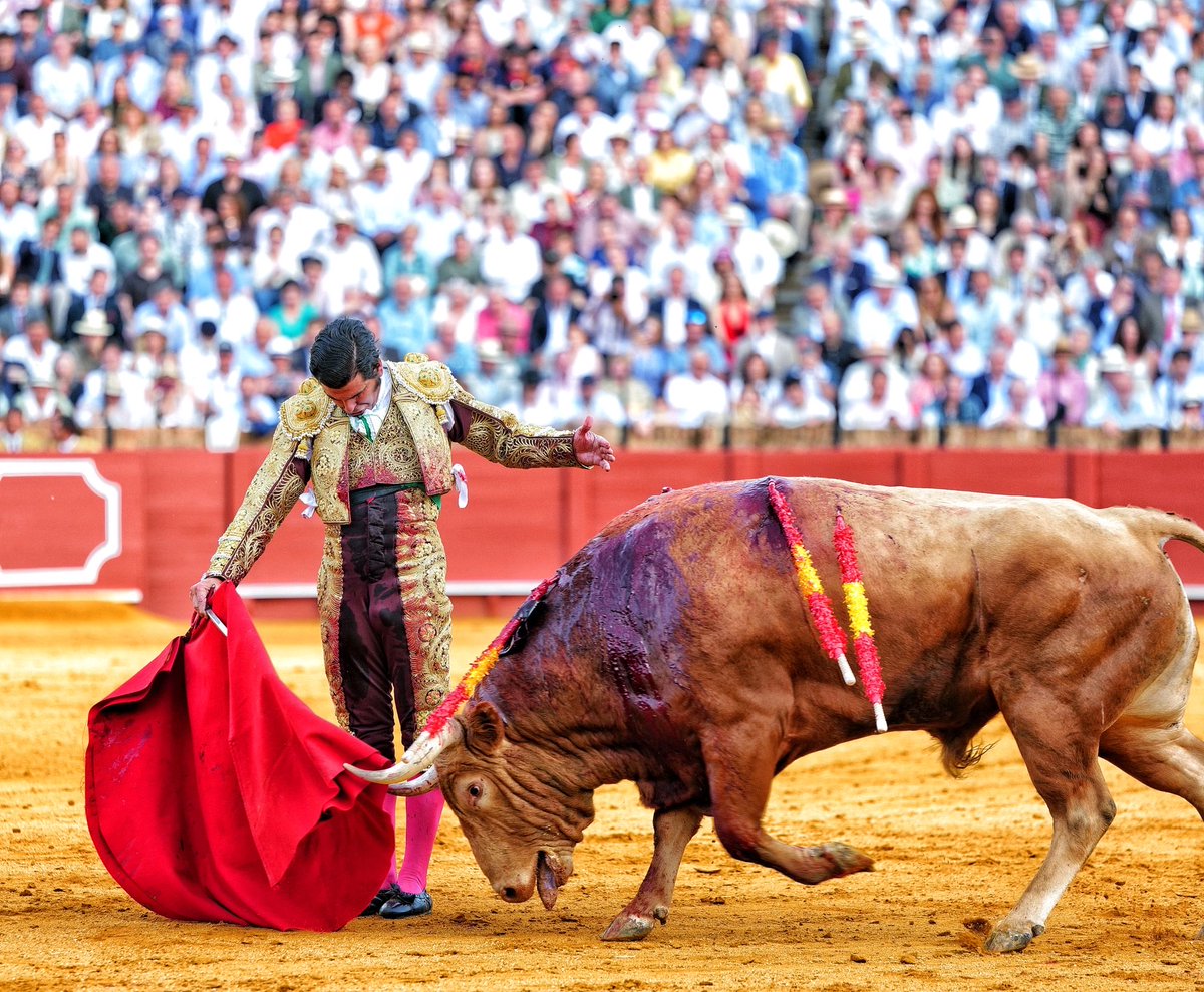 Al Toro Por los Cuernos tweet media