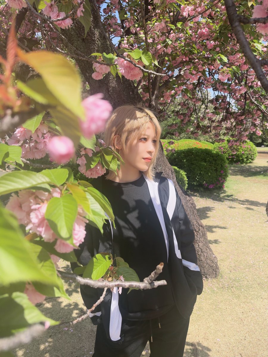 本宮光 tweet media