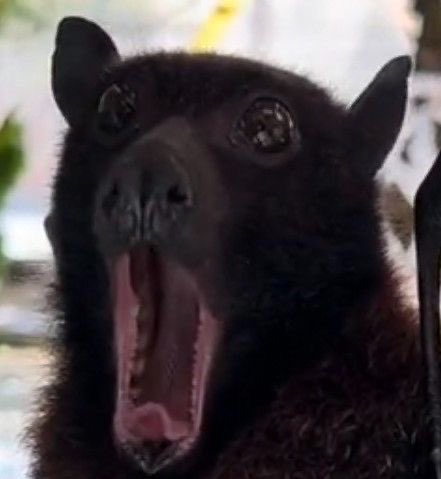 Illi ♡’s Aki 🎀 击 tweet media