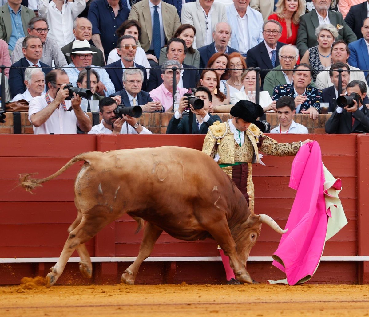 Al Toro Por los Cuernos tweet media