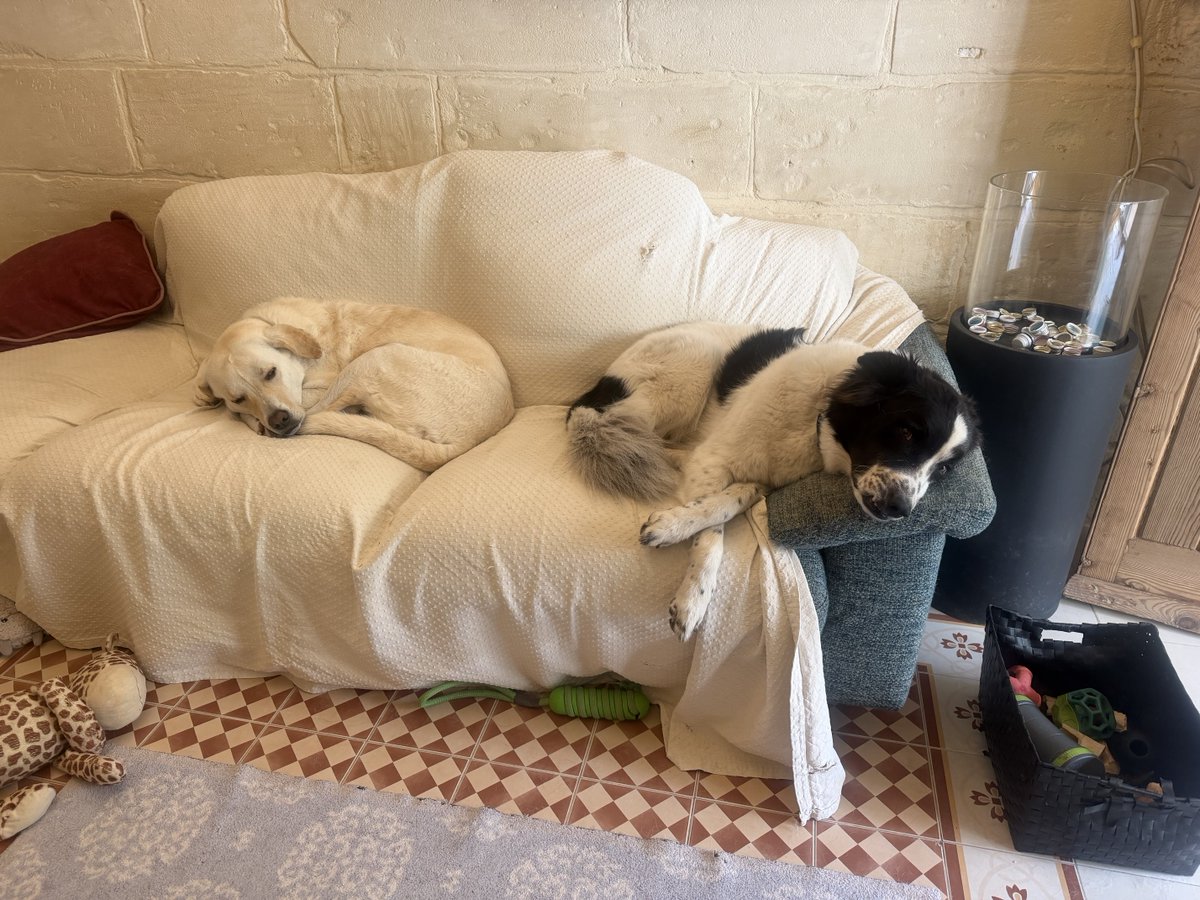 FormosaPace's tweet image. #Serenity