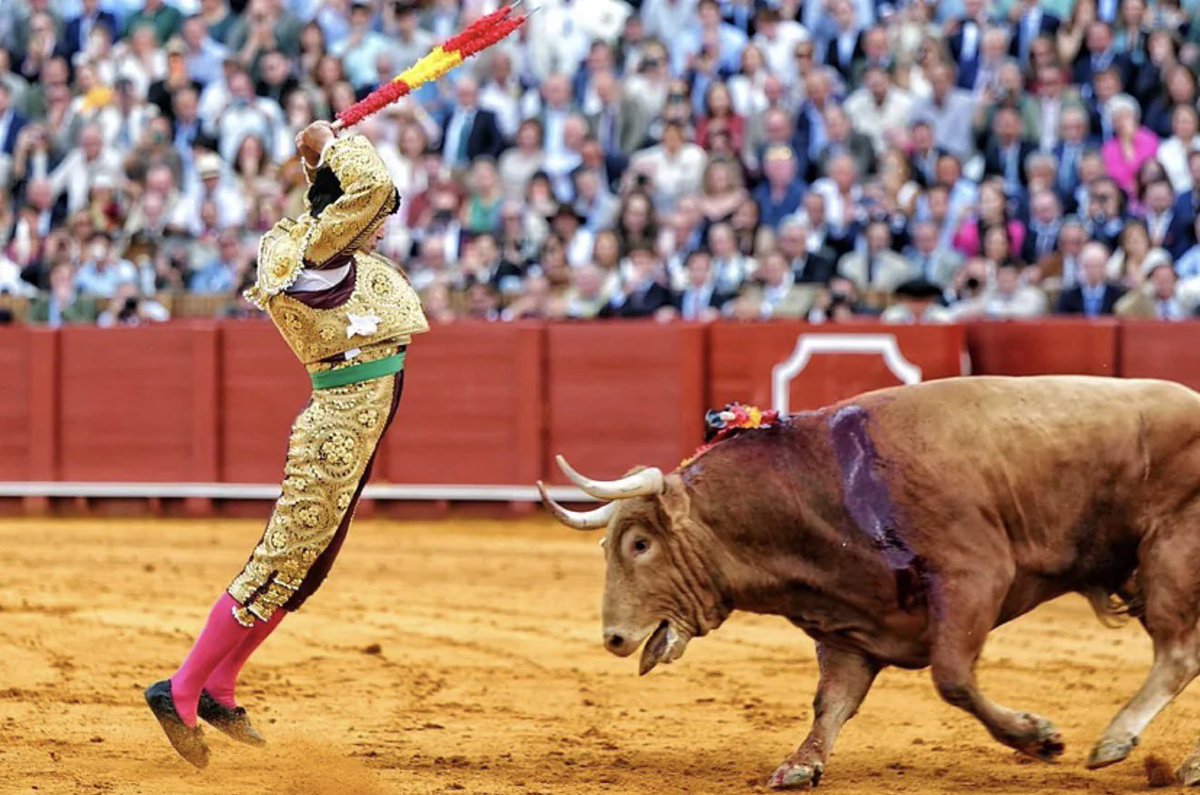 VIVA ESPAÑA!!!! tweet media