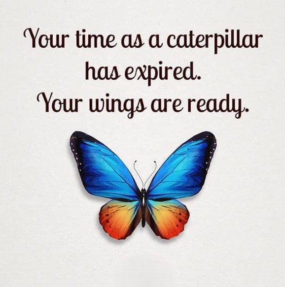 IT Wing tweet media