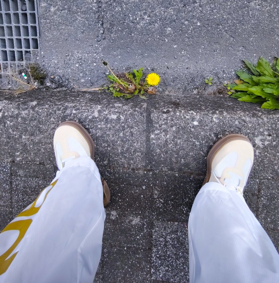 yoshito俺流ですが。なにか？ tweet media