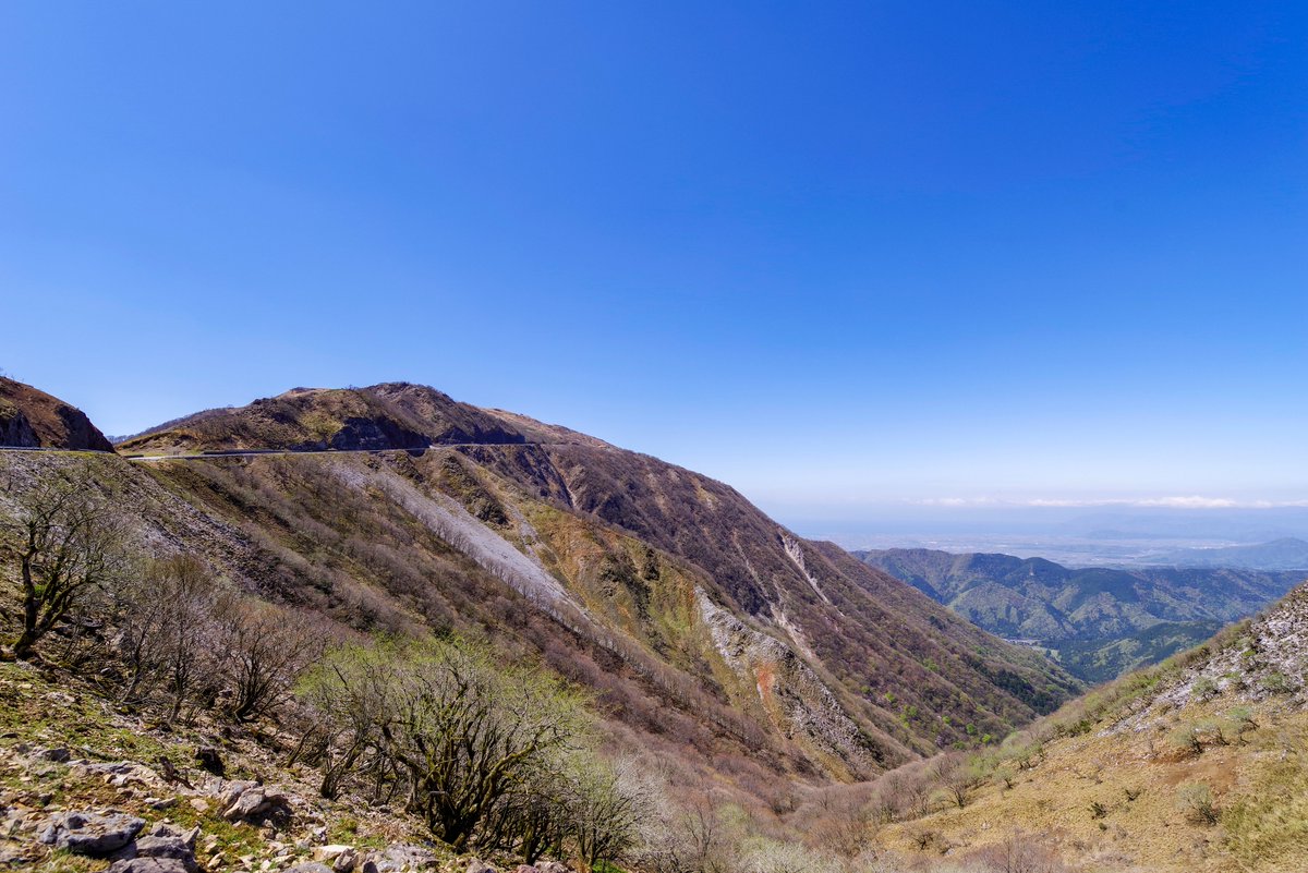 【公式】伊吹山ドライブウェイ tweet media