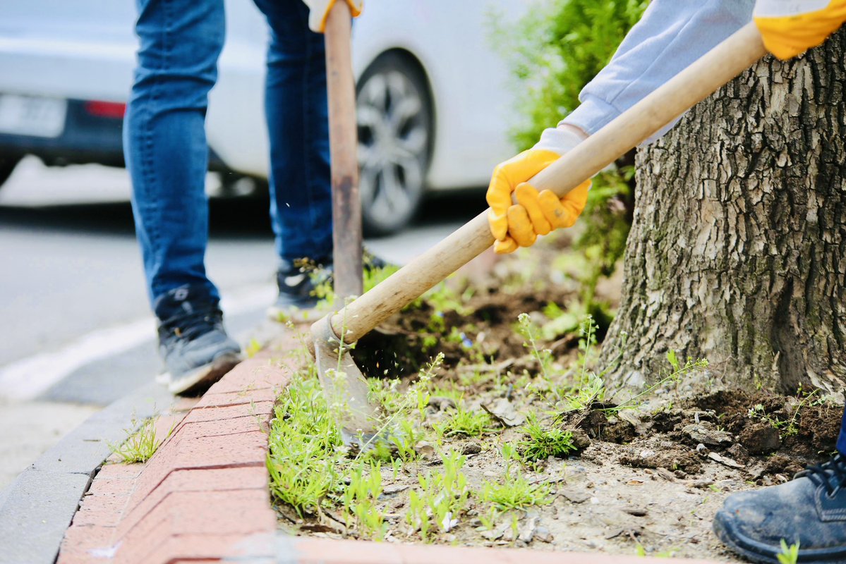 Batman Belediyesi - Şaredariya Êlihê tweet media