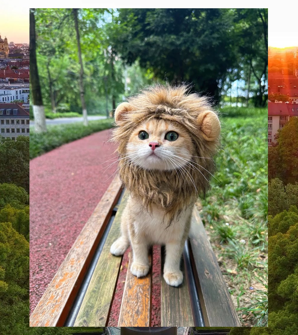 Michael Viswanathan tweet media