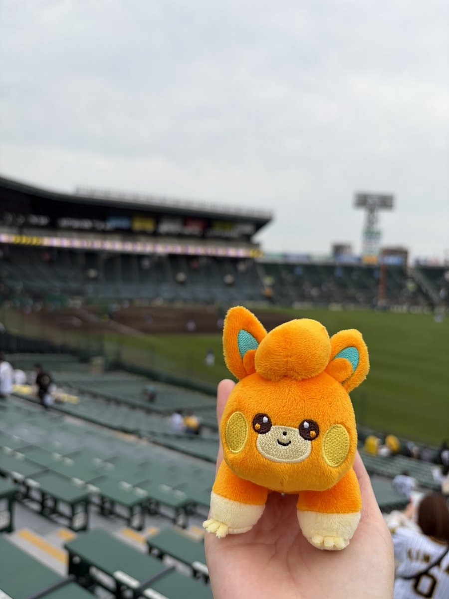 つじり🍵🐯 tweet media