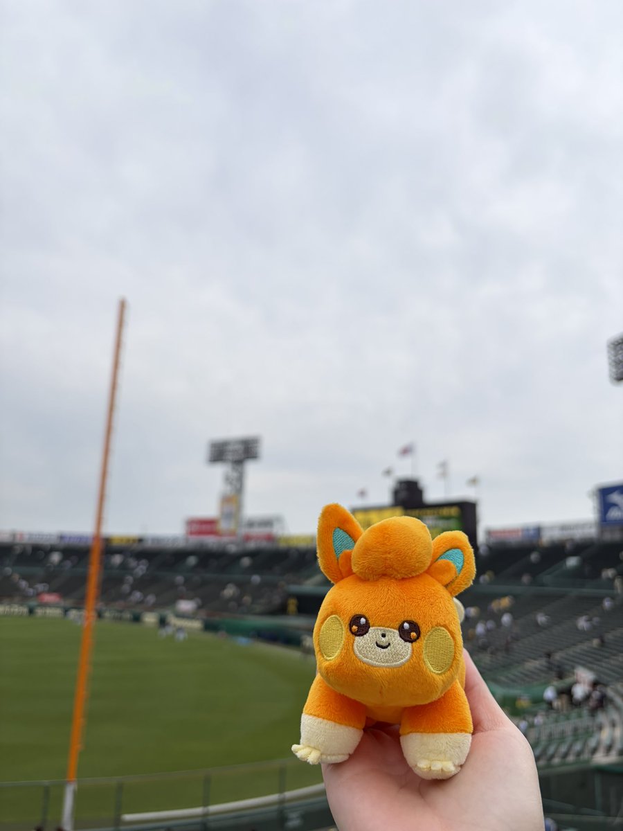 つじり🍵🐯 tweet media