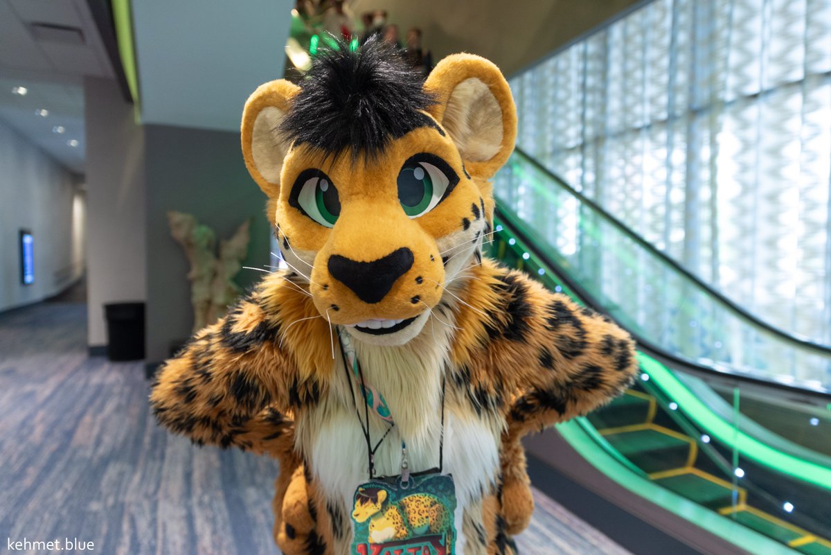 Wicked - there's only one more week until our room block at the Hyatt Regency opens for #FurryMigration 2026. Check back in on Friday, April 24th at 12pm CDT to secure your digs; take a peek to get in the know beforehand: furrymigration.org/venue/hotel/