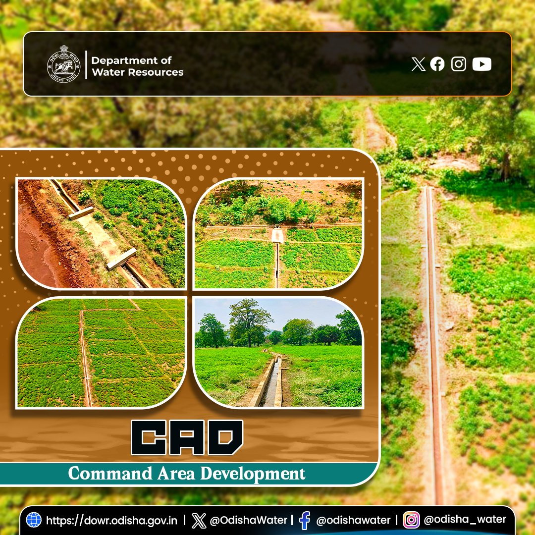 OdishaWater's tweet image. Reconstruction of #FieldChannel at Ambaguda village, Kalimela Block, #MalkangiriDistrict is underway. 685 m RCC -lined channel and 26 hydraulic structures are being developed to support groundnut cultivation 🌱💧
Executed by Gangasagar #PaniPanchayat under the technical