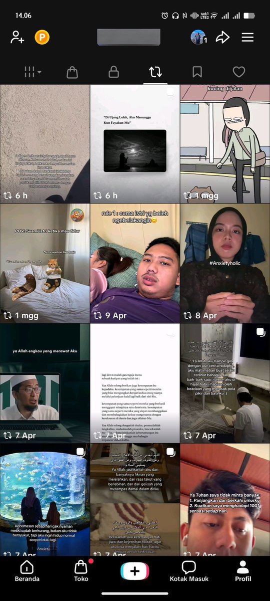 Luna🐈‍⬛🌛 tweet media