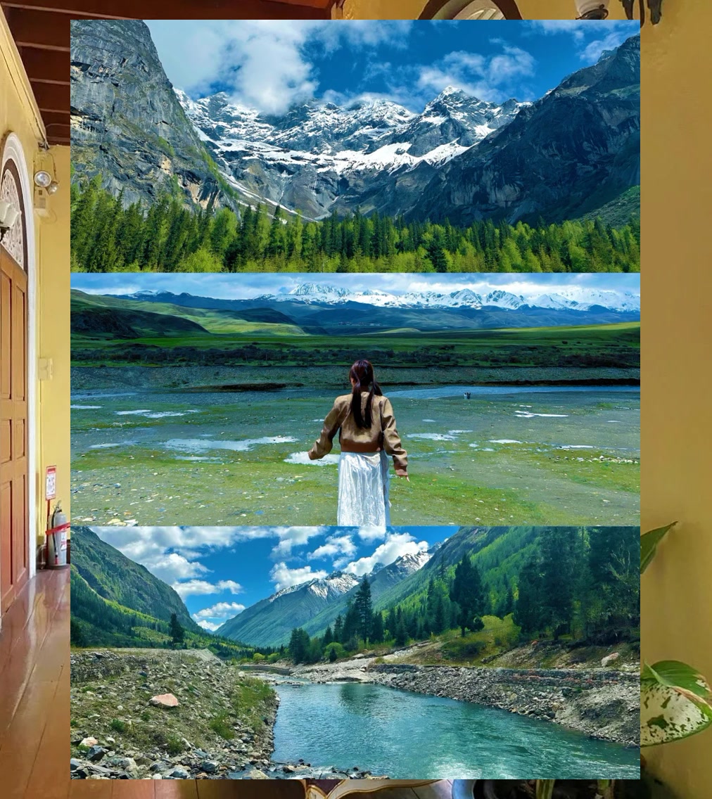 Reggie Comager tweet media