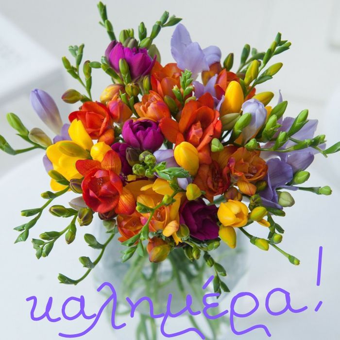 ΣΚΑΘΑΡΟΥΔΗ ΔΕΣΠΟΙΝΑ tweet media