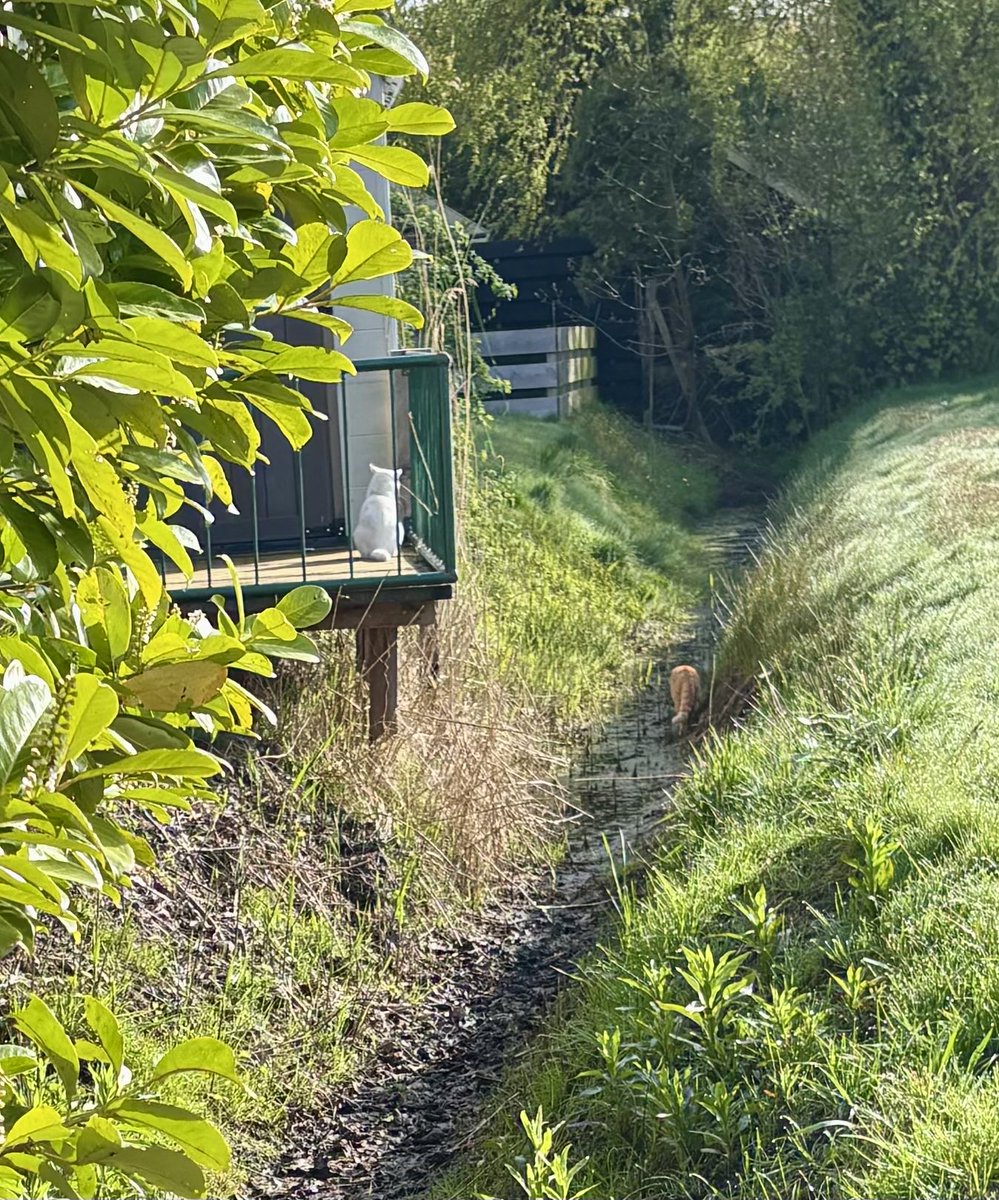 Tammar 🐦 tweet media