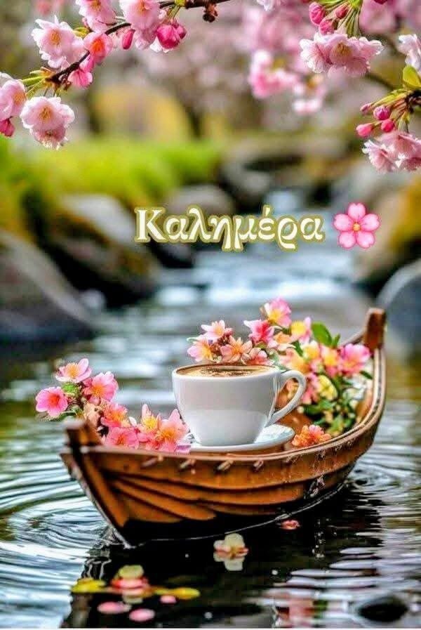 ΣΚΑΘΑΡΟΥΔΗ ΔΕΣΠΟΙΝΑ tweet media