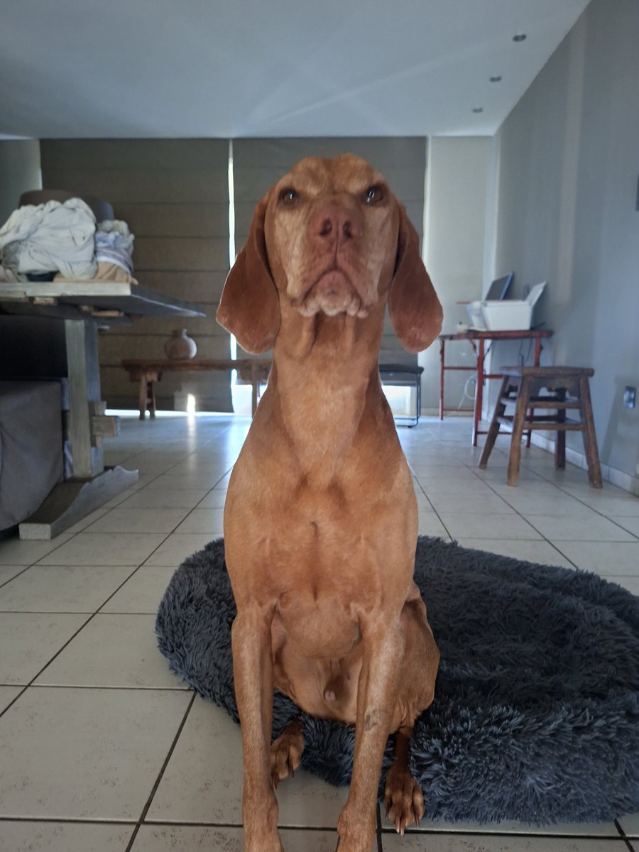 willy.... tweet media