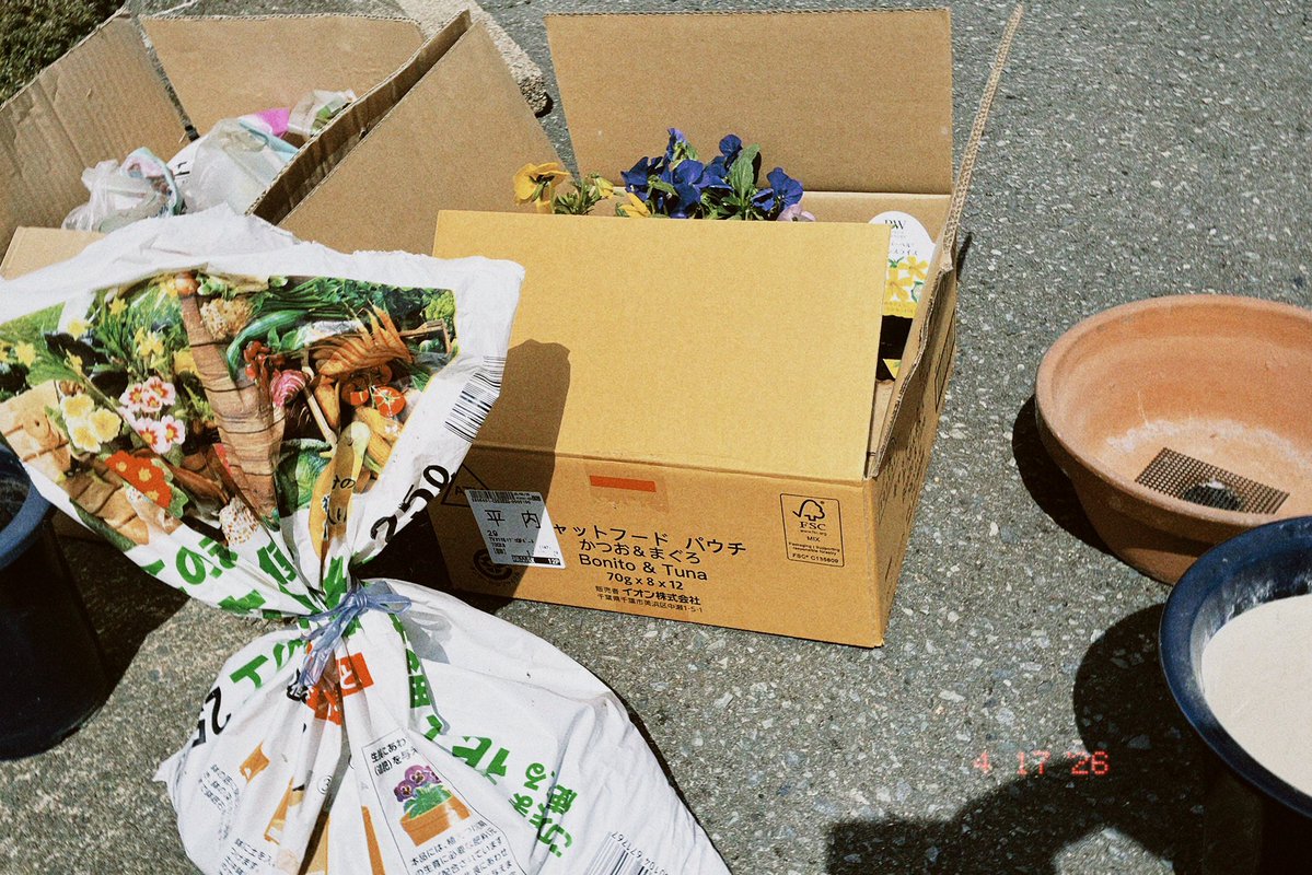 こがチャン☁️ tweet media