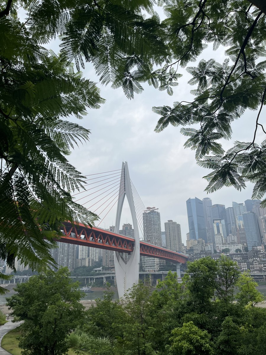 ctrl22333 tweet media