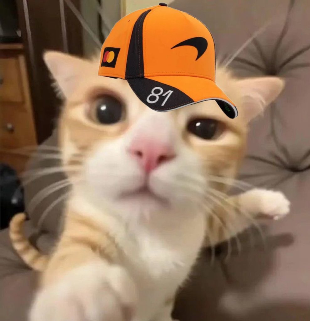 supreme leader kiki tweet media