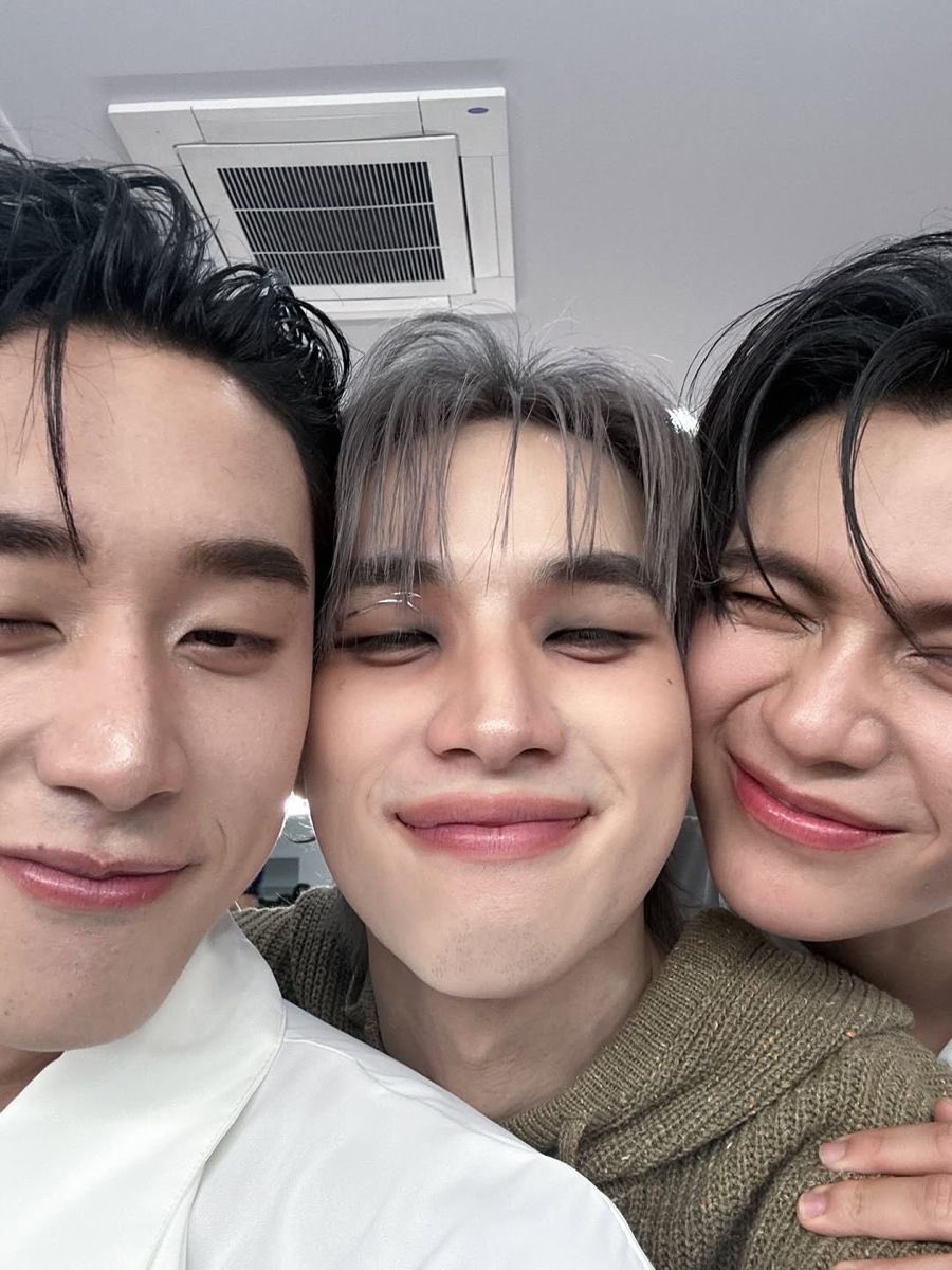 nocas 🦈 tweet media