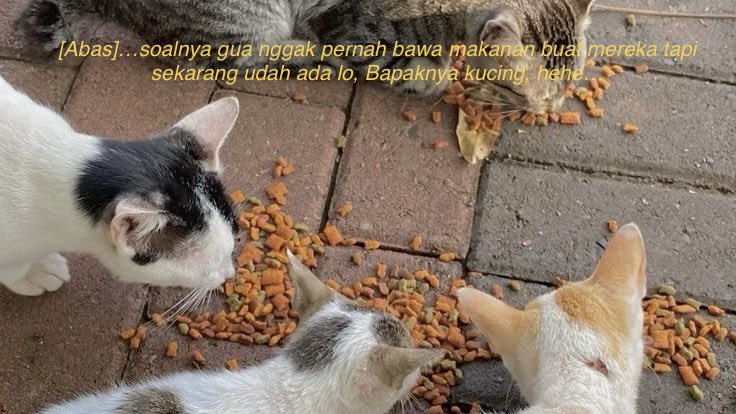 𖤐˙⋆ 𝐭 tweet media