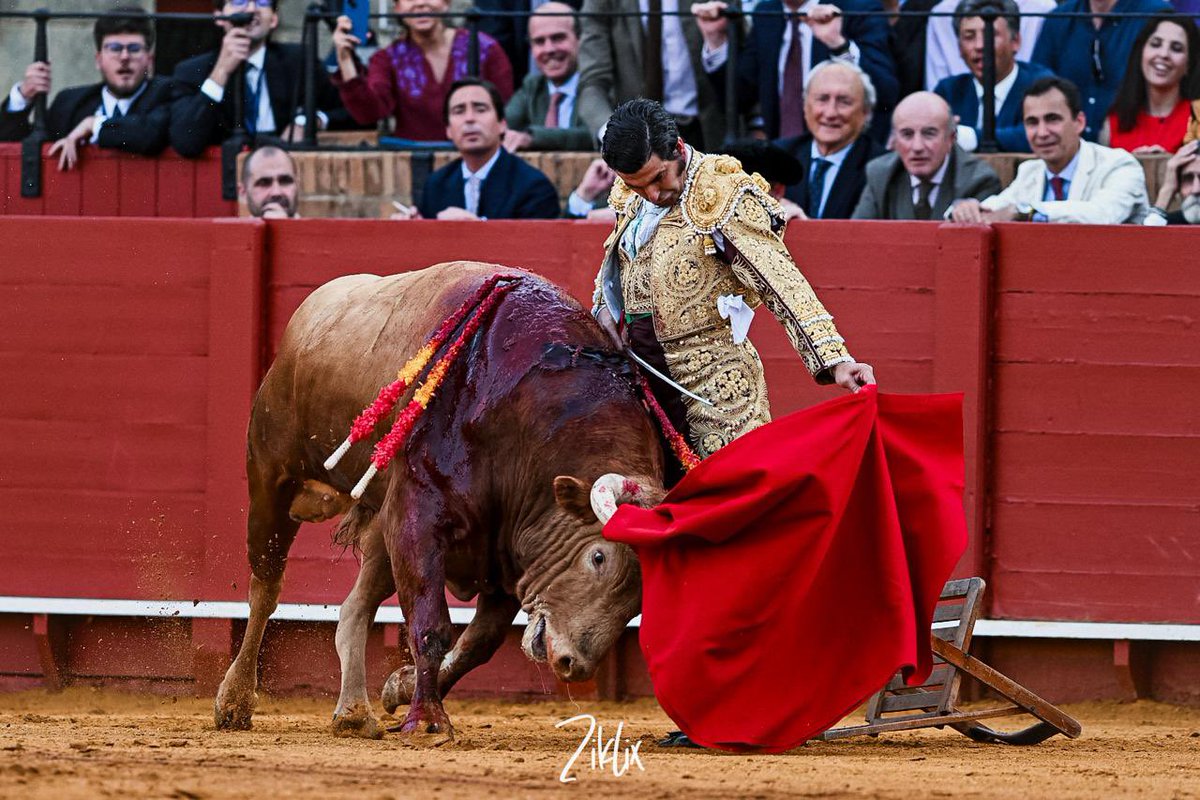 manuel.pg4 tweet media