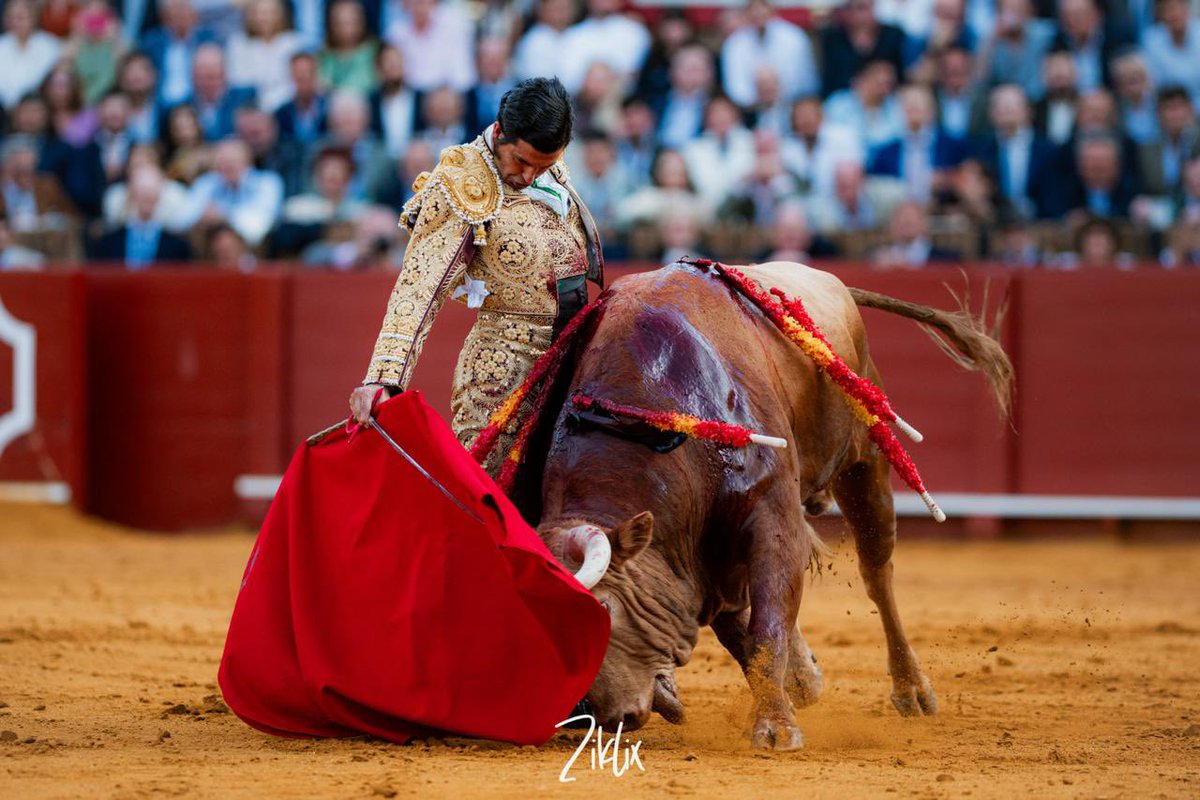 manuel.pg4 tweet media