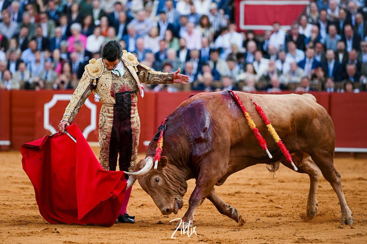 manuel.pg4 tweet media