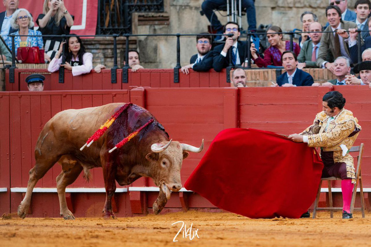 manuel.pg4 tweet media