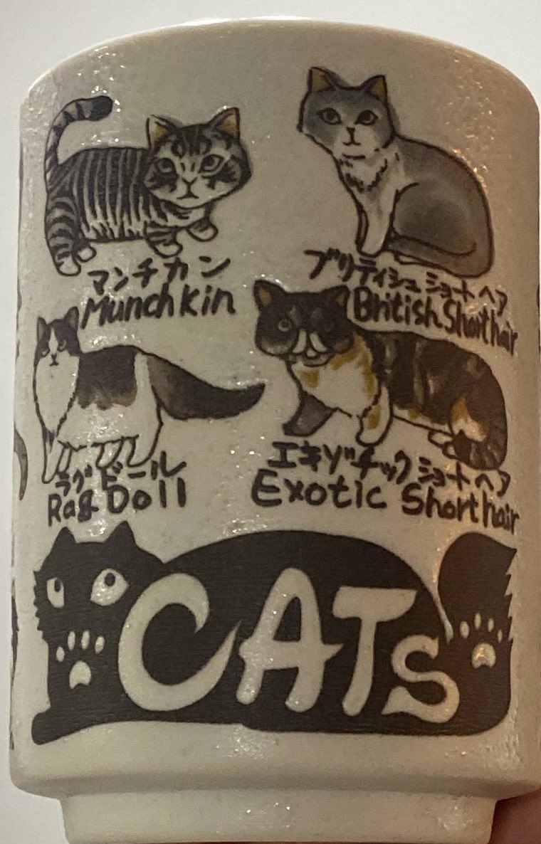 猫ちゃん湯呑み

かわゆき…っ 