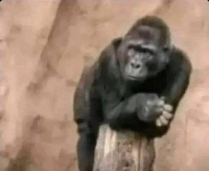 Only1Danzzy tweet media