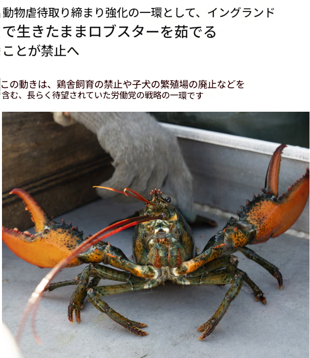 Elise Vanessa tweet media