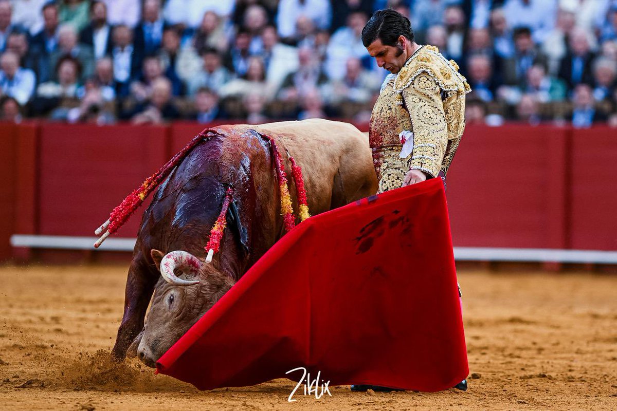 manuel.pg4 tweet media