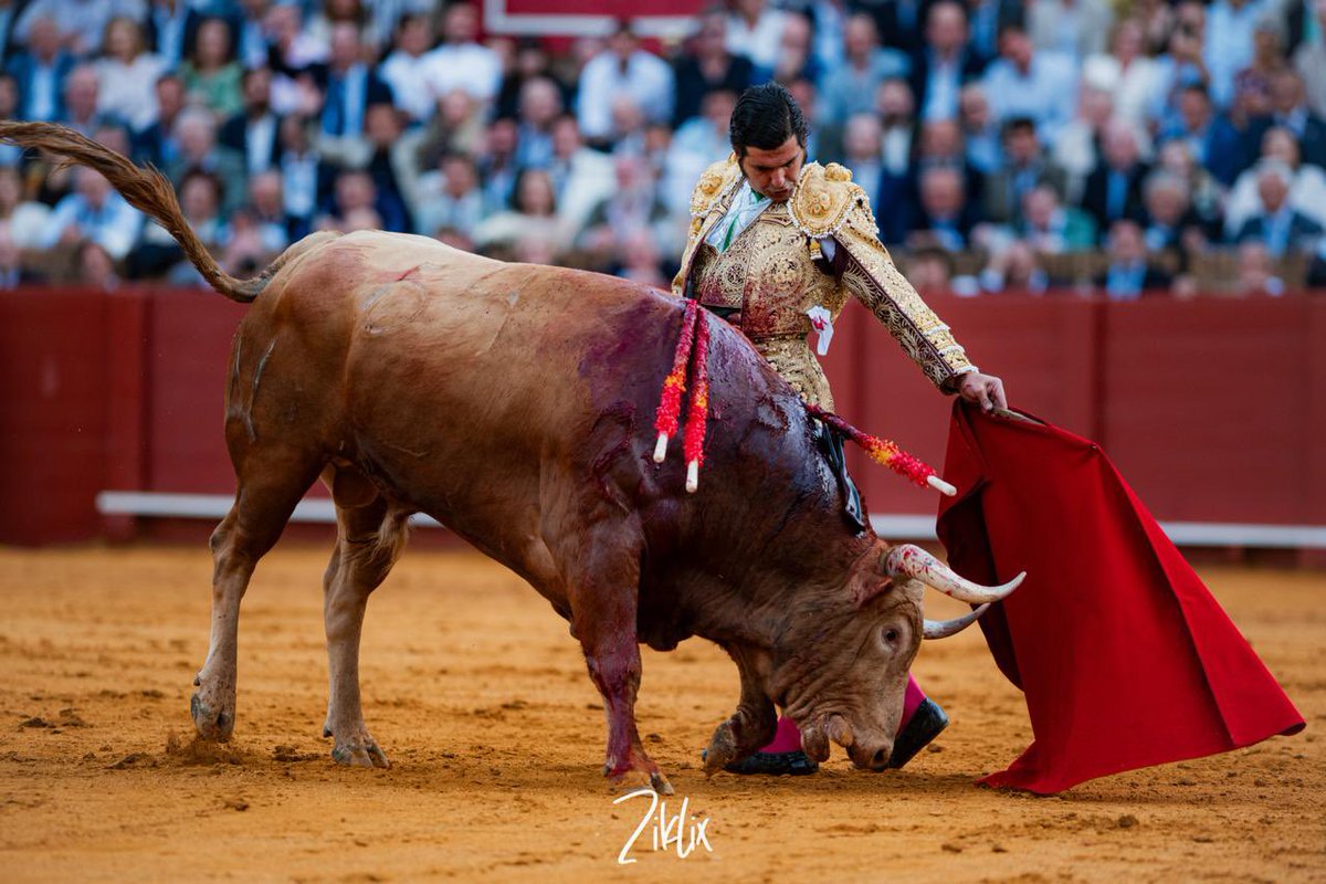 manuel.pg4 tweet media