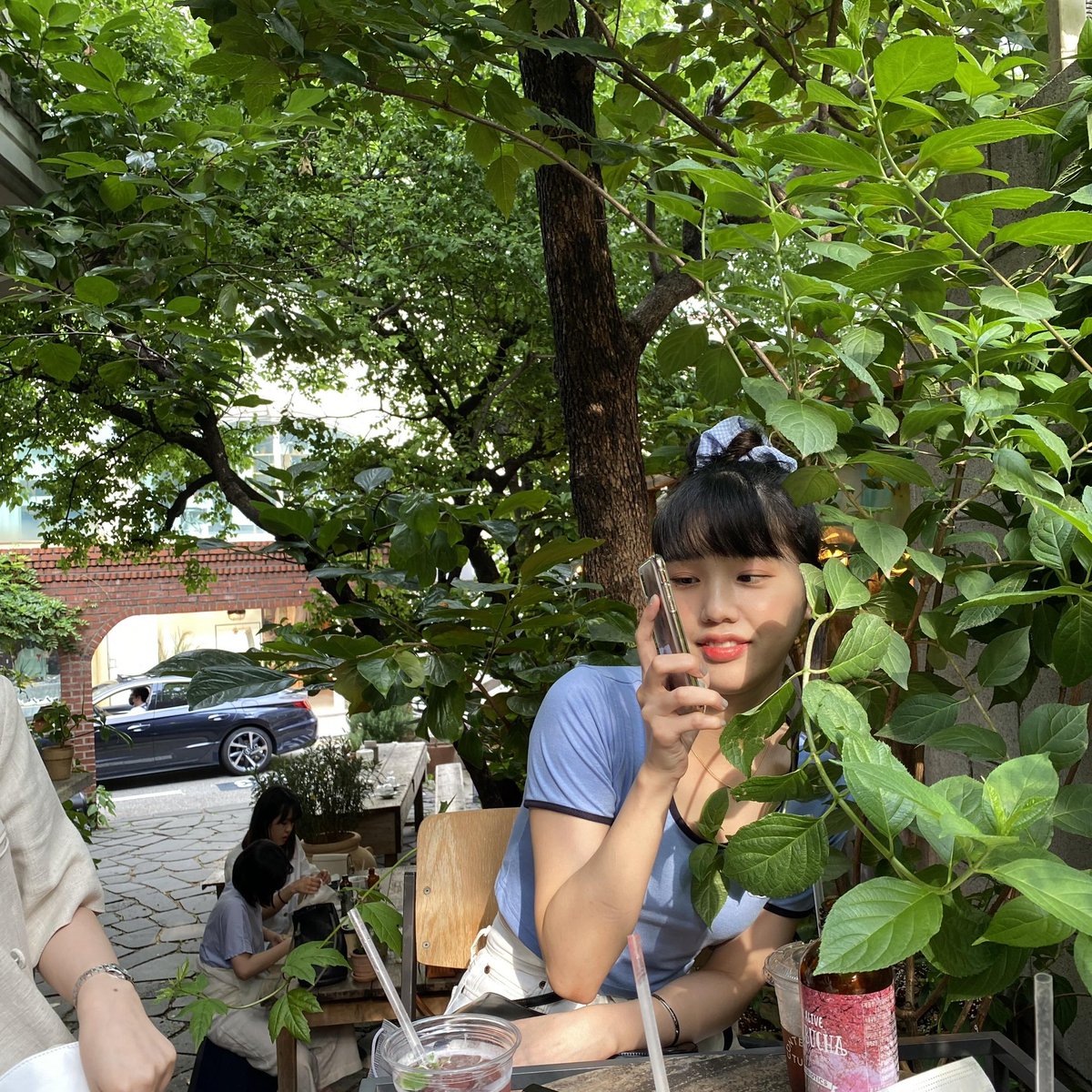 슬슬 미미의 계절이 오는구나