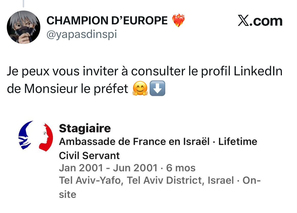 Mademoiselle N. tweet media